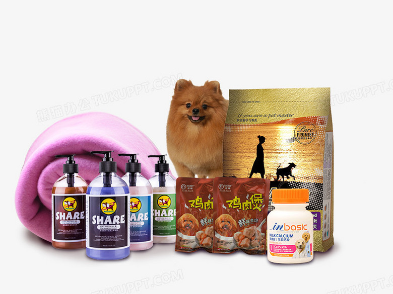 寵物用品PNG與PSD格式素材免費下載 熊貓辦公數碼產品專區