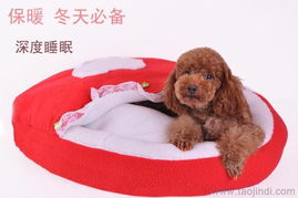 優(yōu)質(zhì)寵物窩墊與用品廠家直銷，批發(fā)價格盡享舒適與實惠